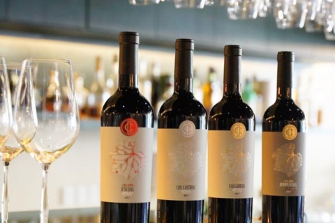 Rượu vang Tây Ban Nha – Món quà tinh tế cho người sành rượu